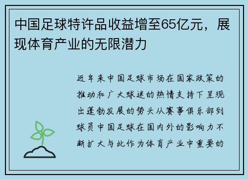 中国足球特许品收益增至65亿元，展现体育产业的无限潜力