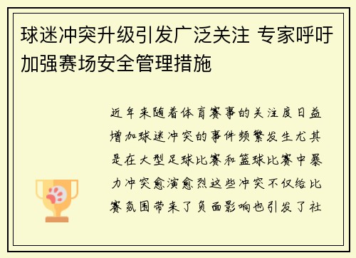 球迷冲突升级引发广泛关注 专家呼吁加强赛场安全管理措施